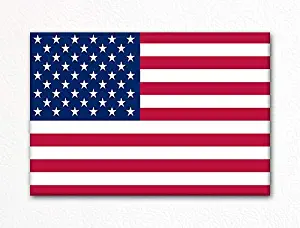 United States of America American Flag USA Fridge Magnet