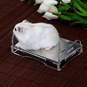 Hamsters Chinchillas Guinea Pigs Summer Cooling Bed Chilly Pad Panel for Small Animal