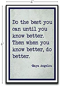 Do The Best You Can Maya Angelou Motivational Inspirational Funny Magnet - Refrigerator Toolbox Locker Car Ammo Can