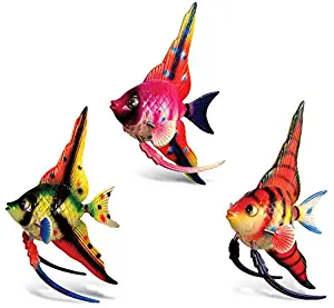 Puzzled Angel Fish High Fin Bobble Magnets (Set of 3)