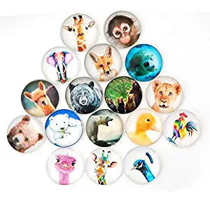 Zoo Animal Refrigerator Magnet Party Set of 12 Pack 3D Round Face For Silver Fridge Office Dry Erase Board Stainless Steel Door Freezer Whiteboard Cabinet Magnetic Great Fun for Adult Girl Boy Kid