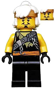 LEGO Ninjago: Teen Wu (in Dragon Hunter Disguise) with Battle Staff