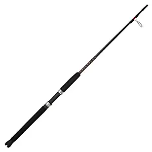 Ugly Stik Bigwater Spinning Rod