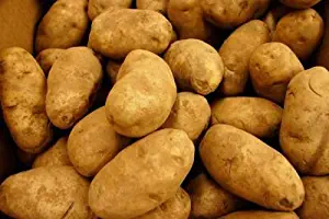 POTATOES RUSSET FRESH PRODUCE 5 LBS