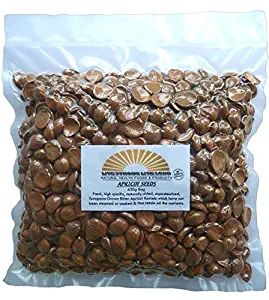 Natural Apricot Kernels Raw (Seeds) 430g Bag 1lb